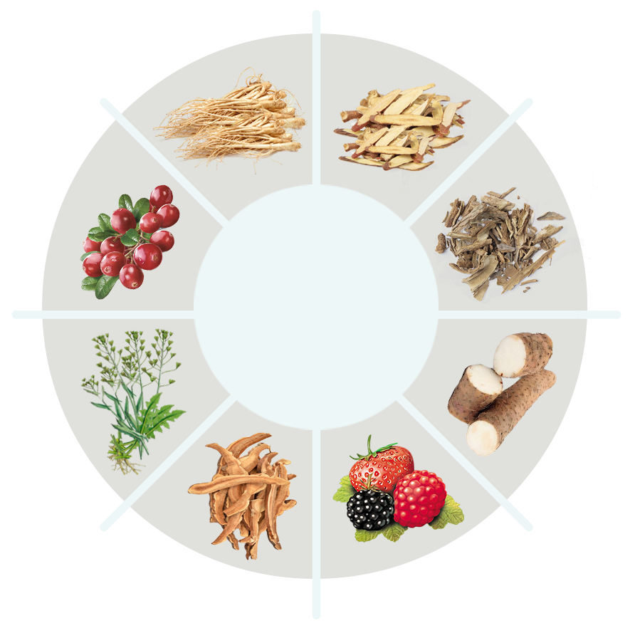 ProDentim ingredient circle